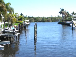 View from the office